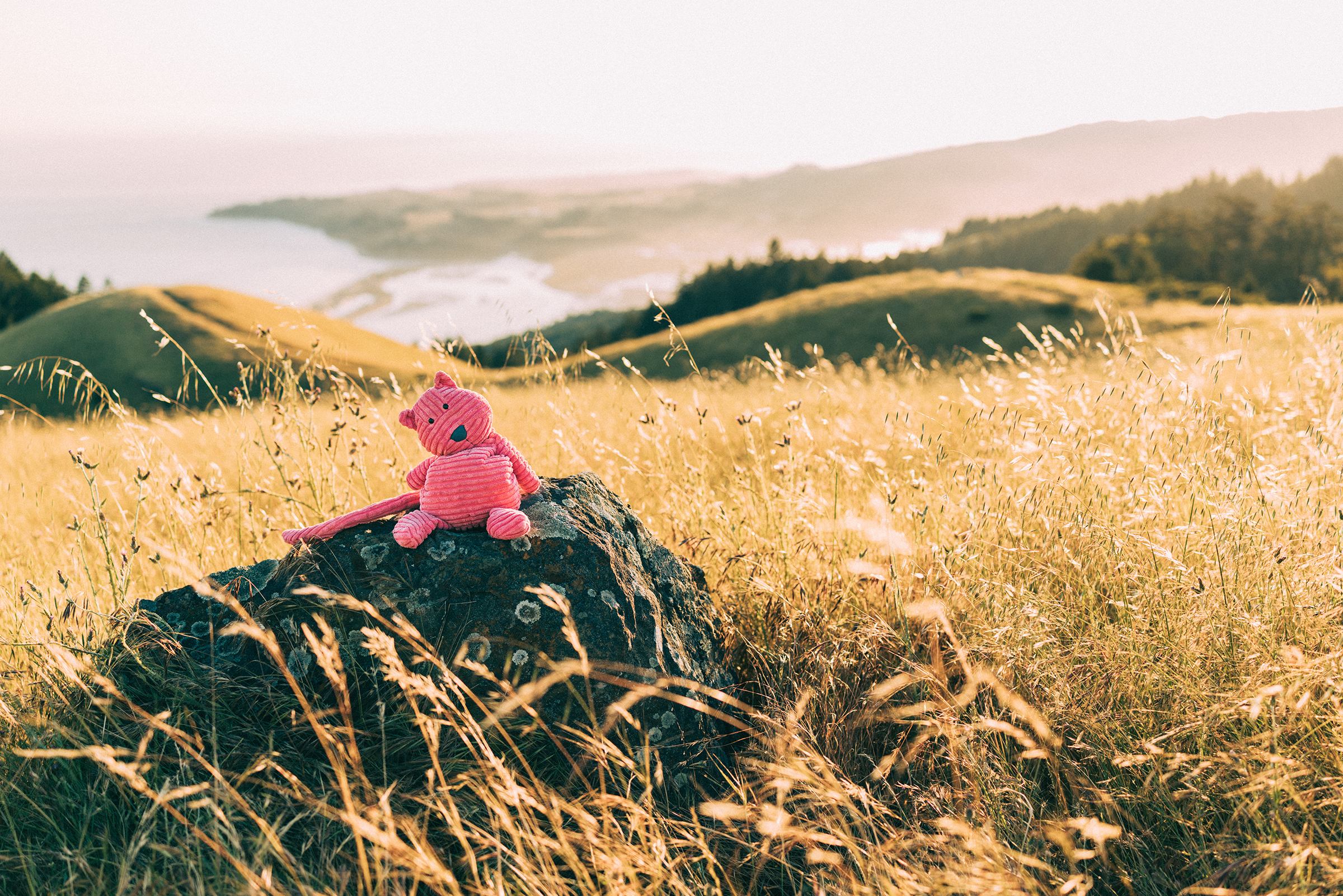 Midge the Jellycat overlooking the Marin County coastline during a location scouting adventure